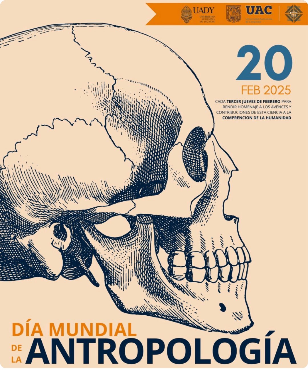 Pieza gráfica de CECAS MX 2025