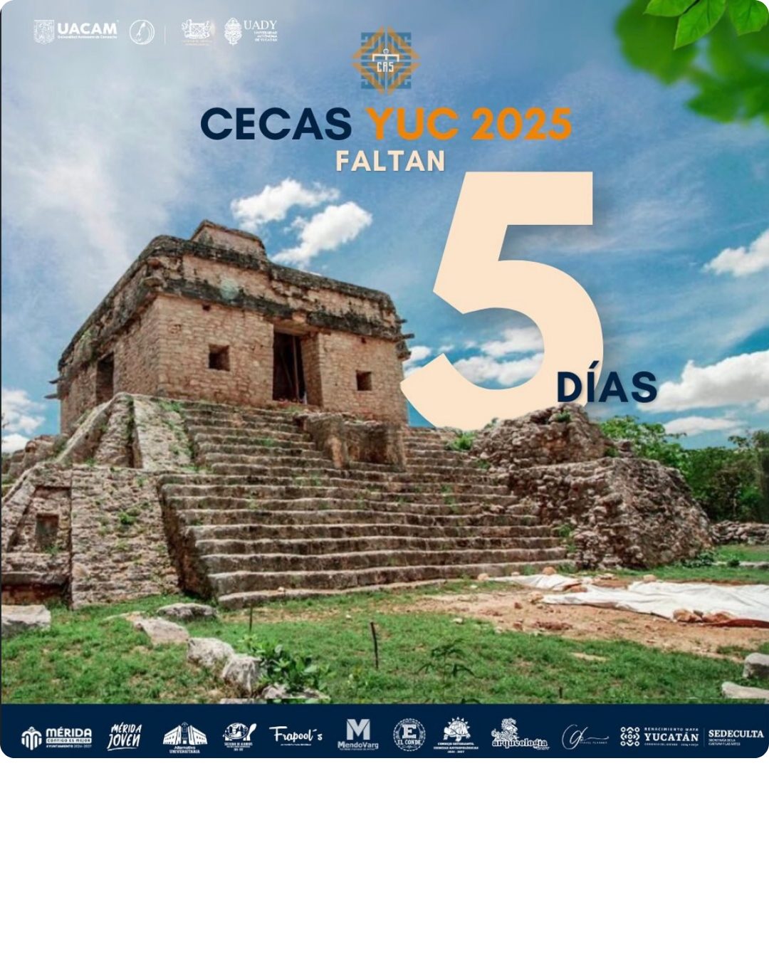 Pieza gráfica de CECAS MX 2025